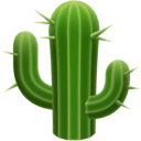 🌵