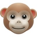 🐵