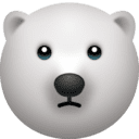 🐻‍❄️
